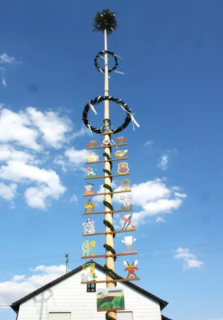 Am Ende des Monats wird der Maibaum scheibchenweise für einen guten Zweck versteigert | Foto: Peter Heider