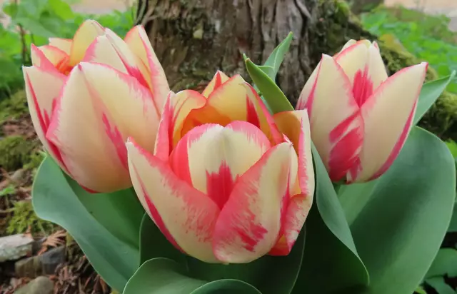 Original-Foto | Foto: M. A.