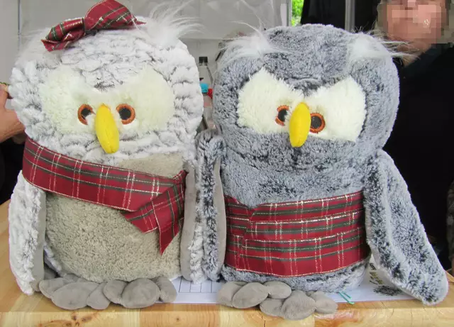 Die Peiner Eulen haben wieder alles super gemacht 🌞