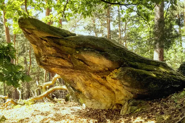 der Froschfelsen auf dem Hoppelberg