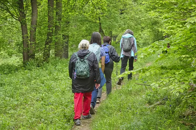 auf dem Pfad durch das Diptamgebiet des Hoppelberges