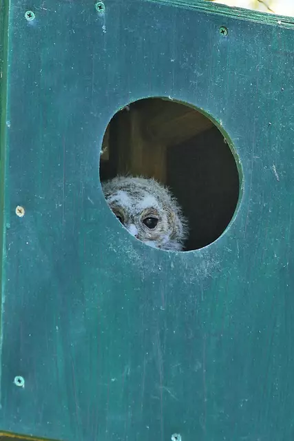 Foto: Copyright Andreas Schäfer