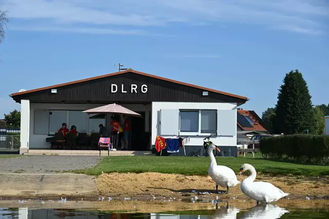 Platz 20 - Schwan Besuch an der Wachstation (12 Stimmen) | Foto: DLRG Ortsgruppe Butzbach e.V.