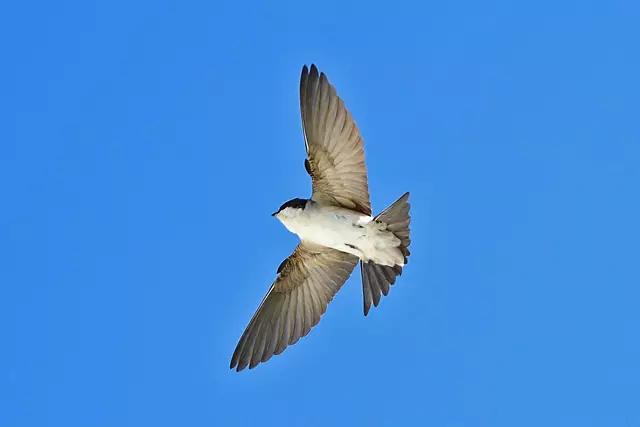 Foto: Copyright Andreas Schäfer