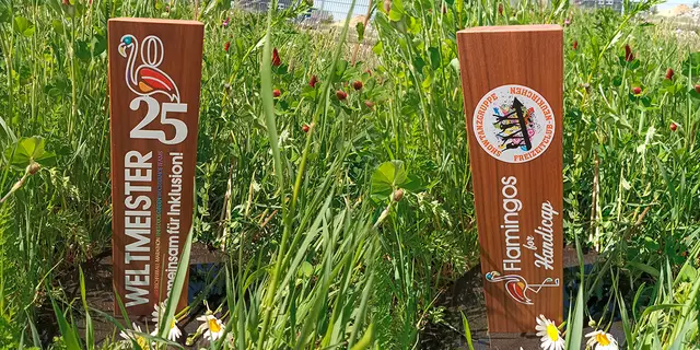 Foto: Flamingos-for-Handicap, Alkoto GmbH