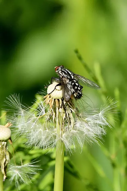 Foto: Copyright Andreas Schäfer