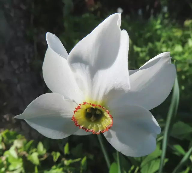 Original-Foto | Foto: M. A.