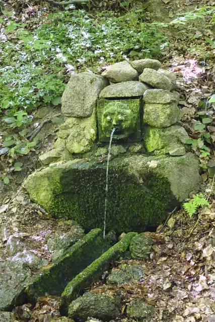 die Georgenquelle