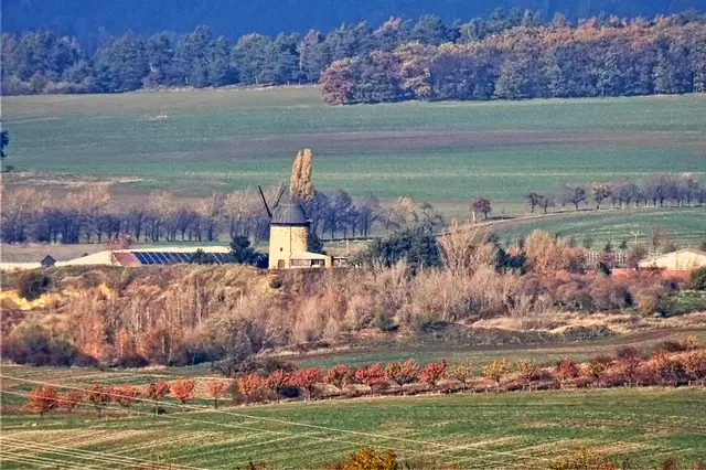 die Warnstedter Turmwindmühle von der Lauenburg aufgenommen