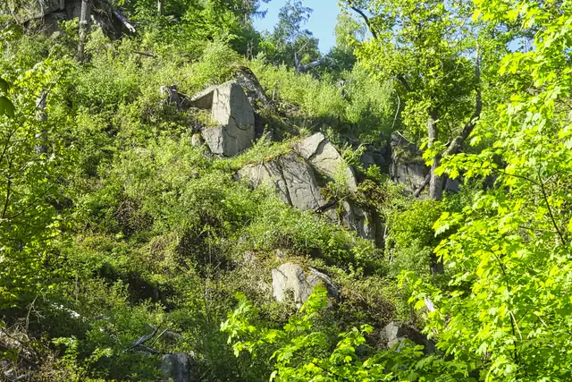 im Wurmbachtal