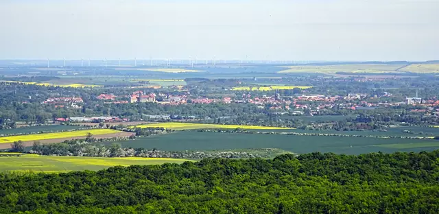 Blick von Wolfsbergblick auf die Welterbestadt Quedlinburg
