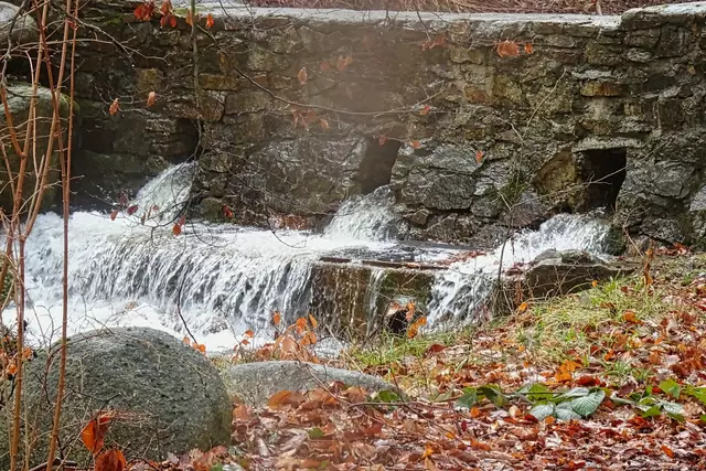 Staubecken des Wurmbaches unmittelbar neben den Naturfreundehaus in Stecklenberg. Da die Straße "Stecklenberger Wurmtal" nach ca. 30 m vom Wurmbach unterquert wird, vermute ich, dass  mit dem Staubecken (tiefliegende 3 Abflüsse) Baumstämme und dergleichen zurückgehalten werden sollen, um ein Verstopfen des Durchflusses vorzubeugen.   