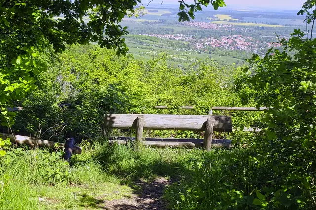 Wolfsbergsicht
