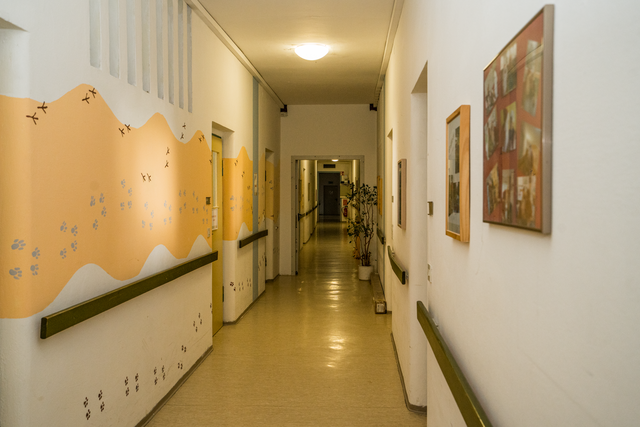  In der Pro Seniore Residenz Friedberg in Bayern steht an diesem Tag das engagierte Team im Mittelpunkt, das täglich mit Herz und Kompetenz für das Wohl der Bewohner sorgt.
 | Foto: FSeventfoto