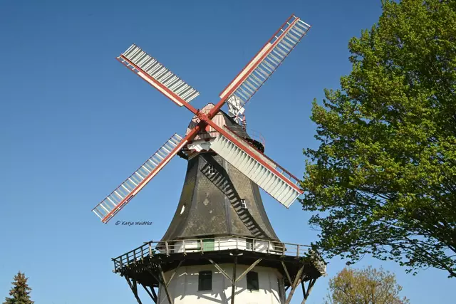 Mühlenmontag (Foto: Katja Woidtke)

Horner Windmühle in Bremen | Foto: Katja Woidtke