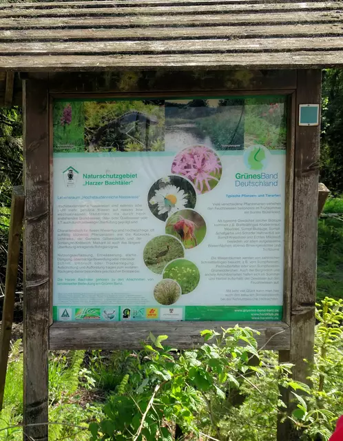 Informationstafel über das Grüne Band
