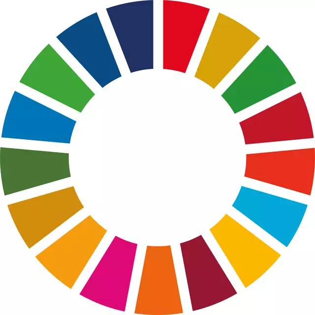 Das „SDG wheel“ steht für die 17 Nachhaltigkeitsziele der Vereinten Nationen (Sustainable Development Goals, SDGs).