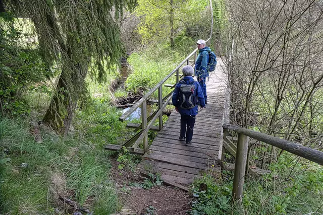 Rappbodebrücke