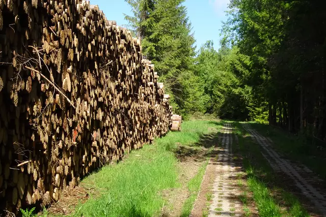 Kolonnenweg