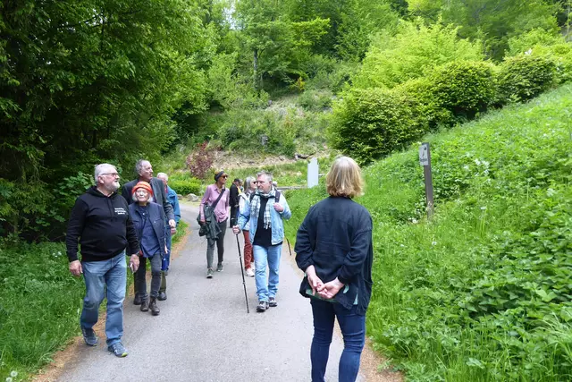 Heinz Schreiner erläuterte den Infogarten des Vereins für Burg- und Heimatgeschichte und informiert hier am Hinweis zu den Burgbergbienen.