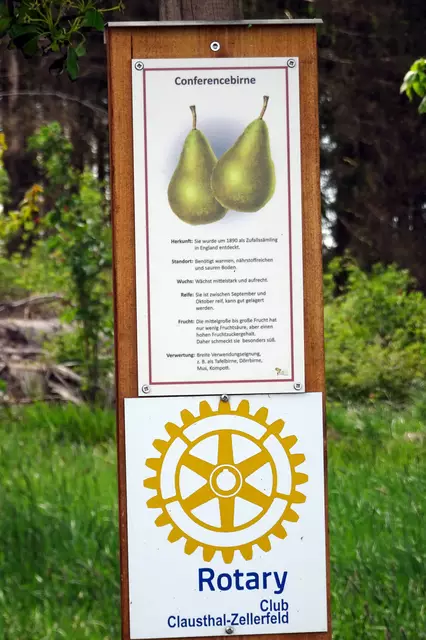 Am Rastplatz Großer Rappenberg sind mit Hilfe vom Rotary Club Clausthal - Zellerfeld mehrere Obstbäume gepflanzt worden