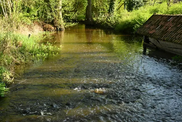 Mühlenmontag (Foto: Katja Woidtke)

Wassermühle im idyllischen Künstlerdorf Fischerhude | Foto: Katja Woidtke