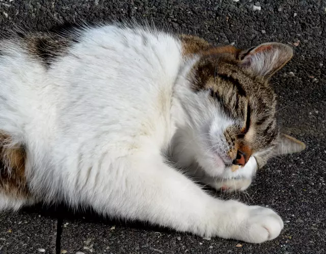 Vielleicht hilft einfach schlafen.
