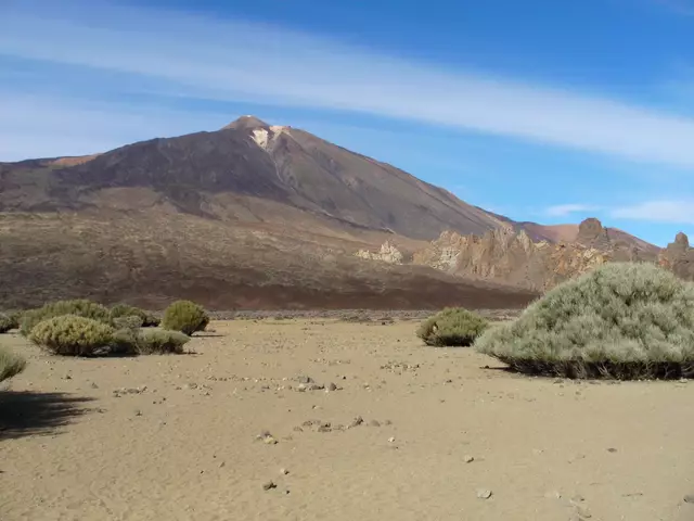 Der Pico del Teide ist ein Schichtvulkan. Seine Hänge sind kaum bewachsen. Er erhebt sich aus einer Caldera mit 17 Kilometer Durchmesser namens Las Cañadas. Nach früheren Vorstellungen entstand sie vor 170.000 Jahren aus einem älteren Vulkan, dessen entleerte Magmakammer in sich zusammenbrach. Heute wird jedoch angenommen, dass der südliche Rand der Caldera das „Amphitheater“ einer Trümmerlawine ist, die nach Norden ins Meer rutschte und ein unterseeisches Plateau bildete.