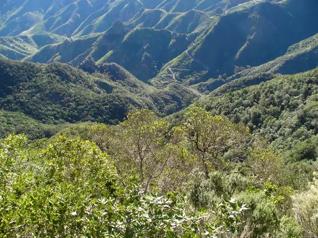Wir verlassen jetzt den Nordosten über die Inselhauptstadt Santa Cruz, für die wir heute keine Zeit haben und machen vor unserem Zielort Puerto de la Cruz noch einen Stopp in El Sauzal.