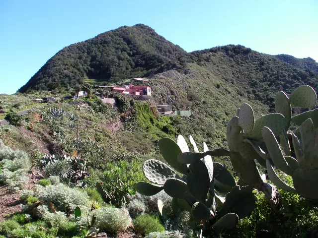 Wir durchqueren die Lobeerwälder des Anaga-Gebirges und wollen wieder zum Meer. 