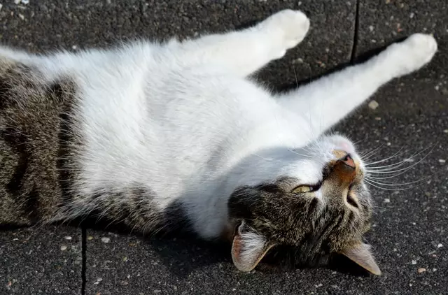 Mann, wann ist endlich Abend!