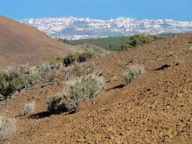 Vom Rande der Caldera hat man einen grandiosen Blick auf die Stadt Puerto de la Cruz.