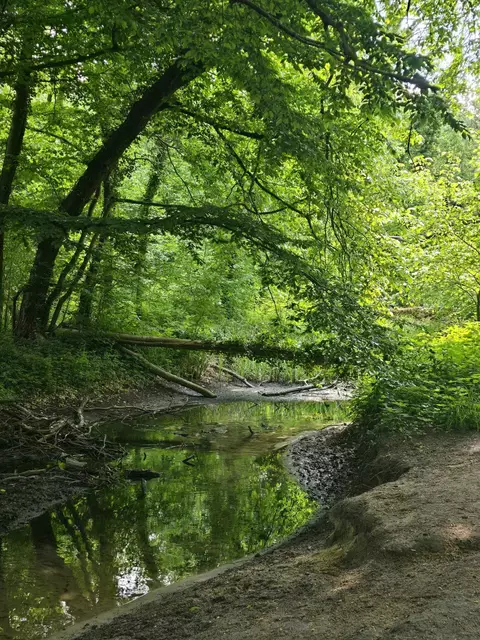 Wietzegraben