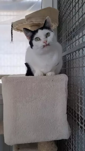 Sissi | Foto: Sabine Pollok