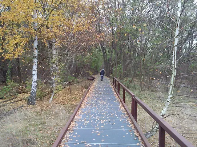 Im Naturpark Südgelände in Berlin-Schöneberg.