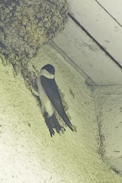 Foto: Copyright Andreas Schäfer