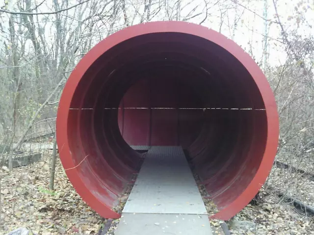 Naturpark Südgelände Berlin