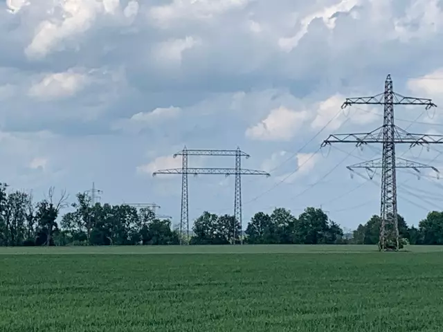 Andere Seite der Stromtrasse mit Blick auf den Adlerhorst