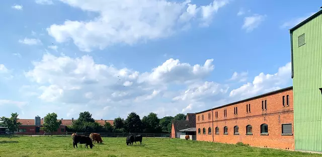 Lehrgut der Tierärztlichen Hochschule Hannover in Ruthe