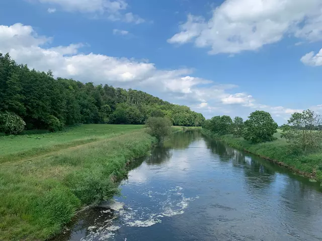 Die Leine