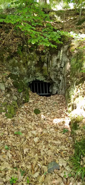 Mundloch des unteren Stollen von Reddighausen