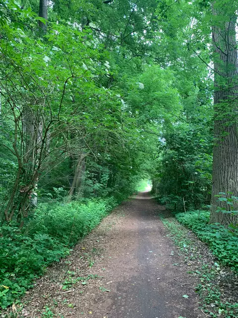 Auf dem Welfenweg zurück