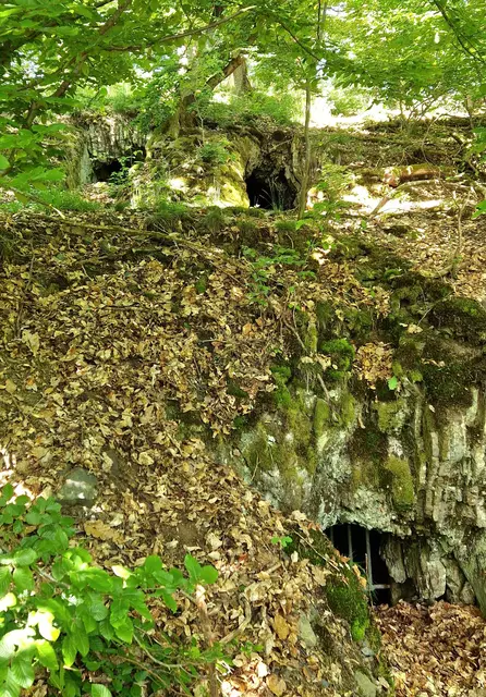 Blick auf die drei Stollen von Reddighausen