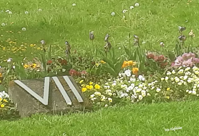 Foto: Iris Alefelder