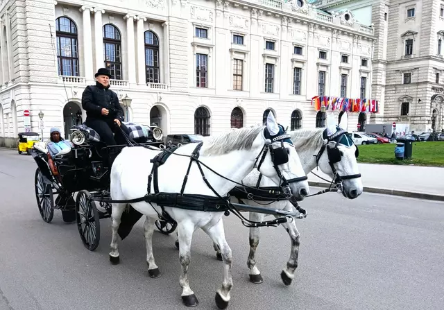 Bei einer Fiaker-Stadtrundfahrt kann man die Sehenswürdigkeiten Wiens genau kennenlernen. | Foto: Peter Heider