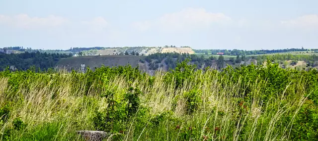 Blick auf die Kalkhalden bei Rübeland