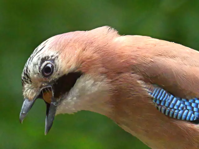 Uups , das hängt etwas!