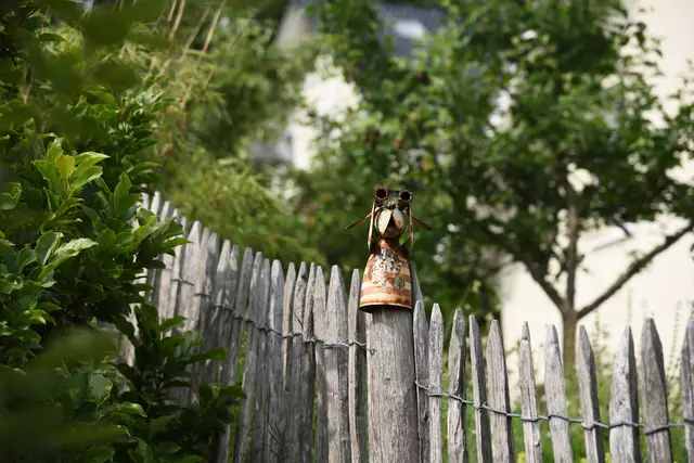 Der Sommer kann kommen!