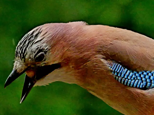 Nee, das klappt so nicht!