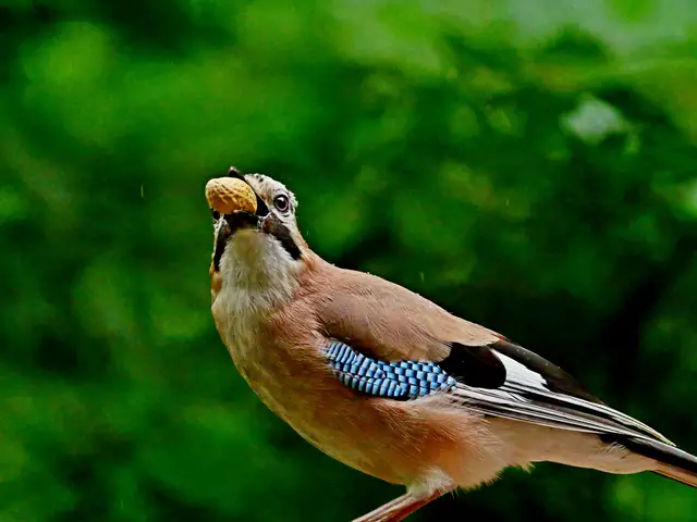 Na denn, runter damit